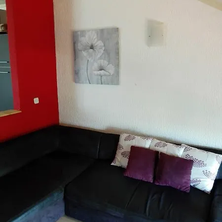 Sladjana Apartment *